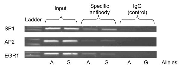 Figure 5B