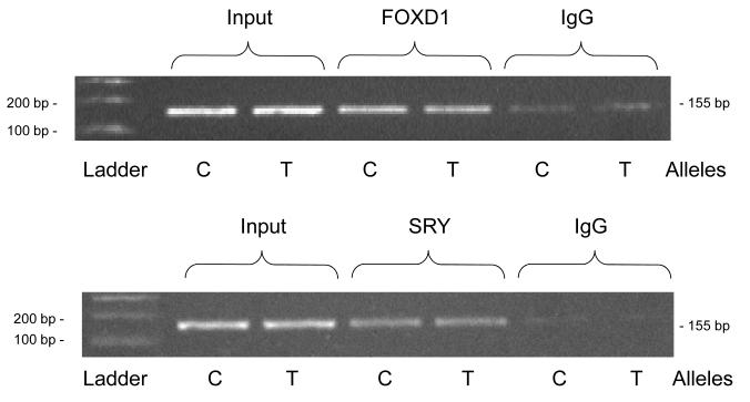 Figure 4B