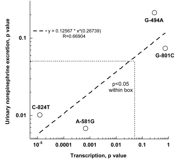 Figure 2B