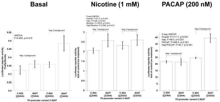 Figure 2D