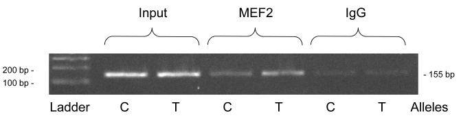 Figure 3B