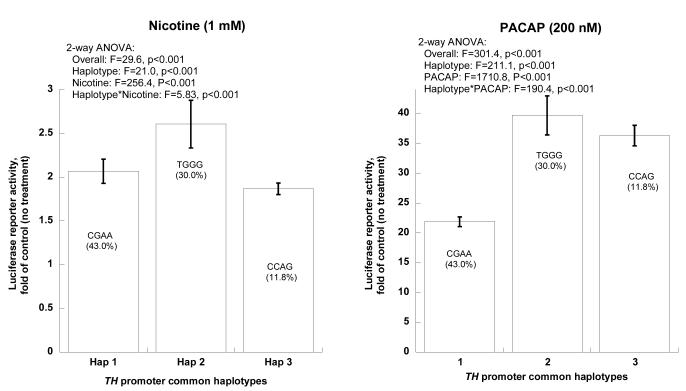 Figure 2C