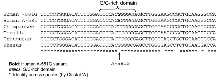 Figure 5A