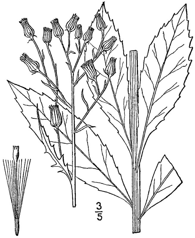 Figure 156.