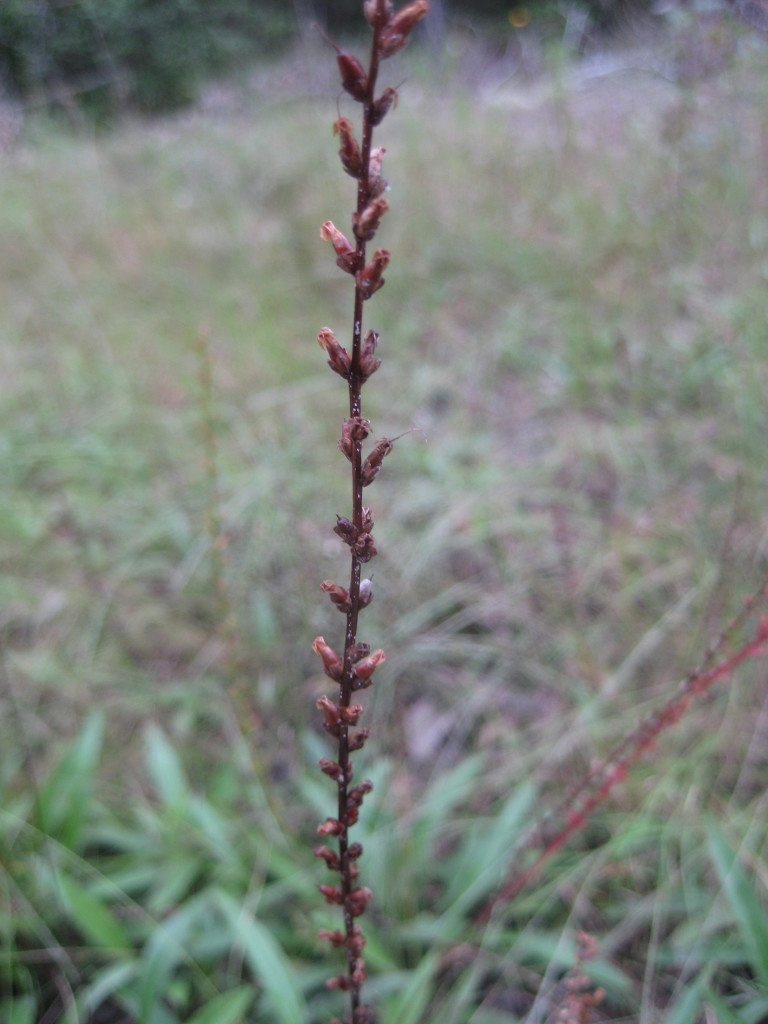 Figure 130a.