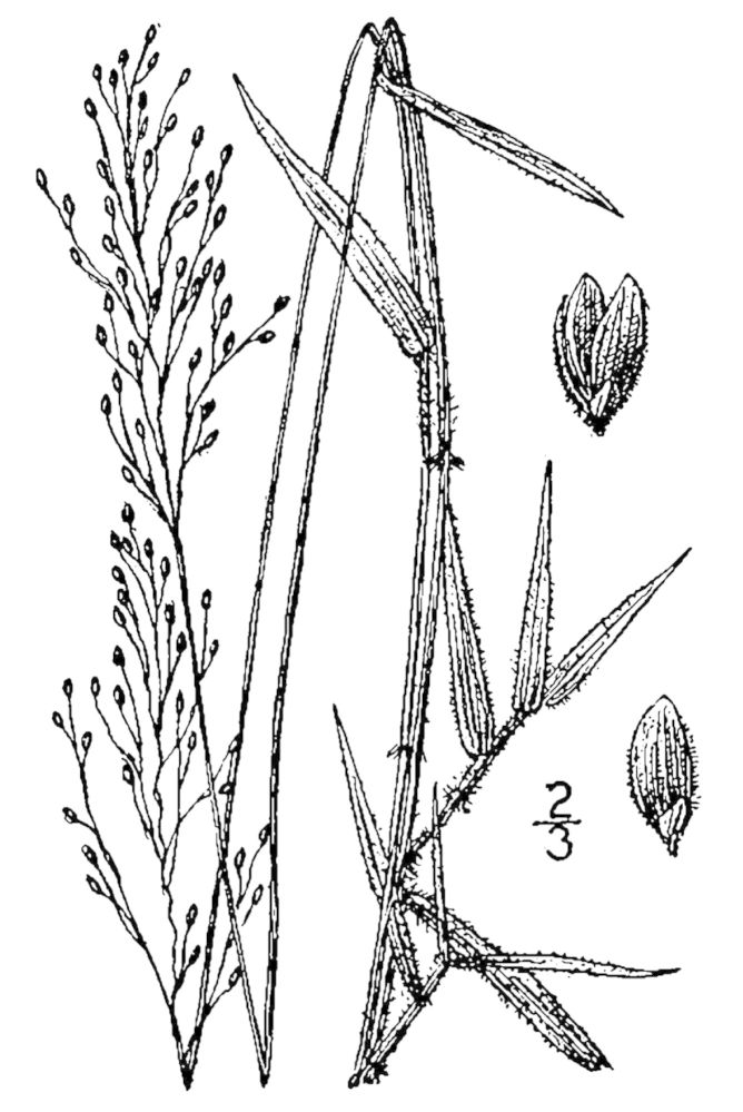 Figure 84e.