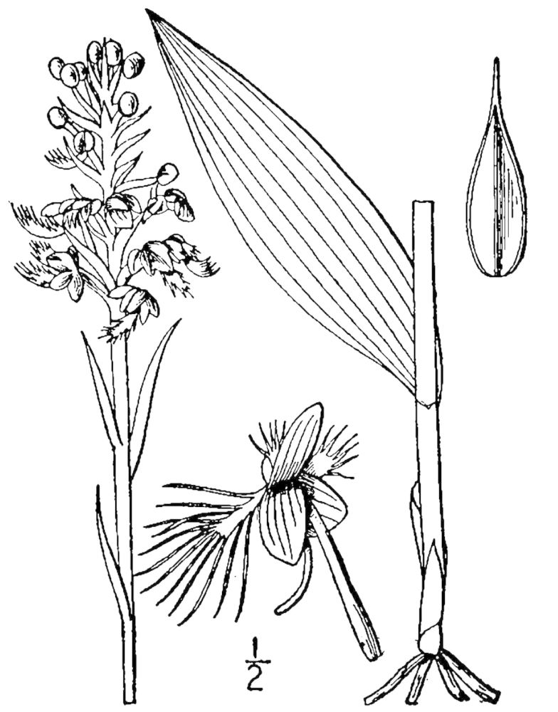 Figure 64c.