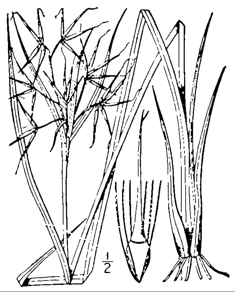 Figure 43a.