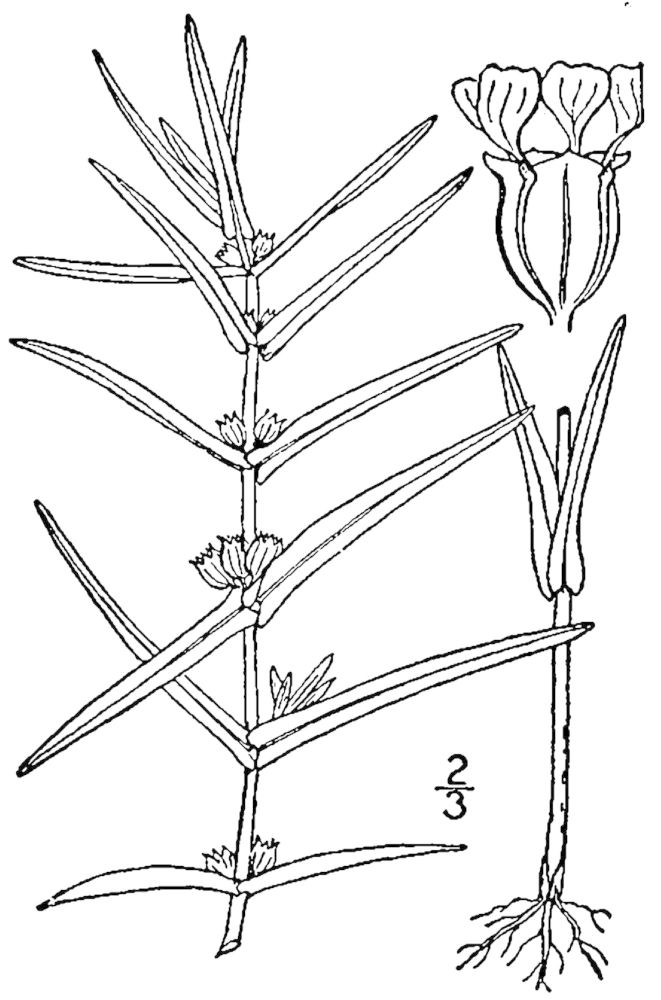 Figure 132.