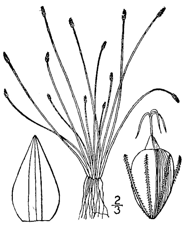 Figure 39b.