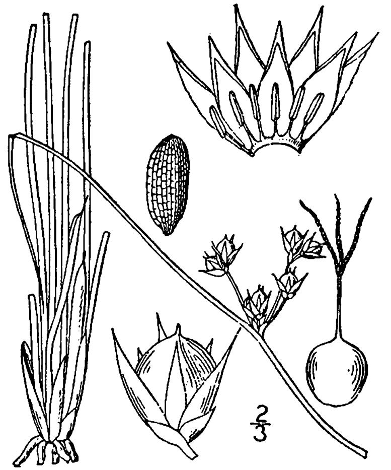 Figure 53e.