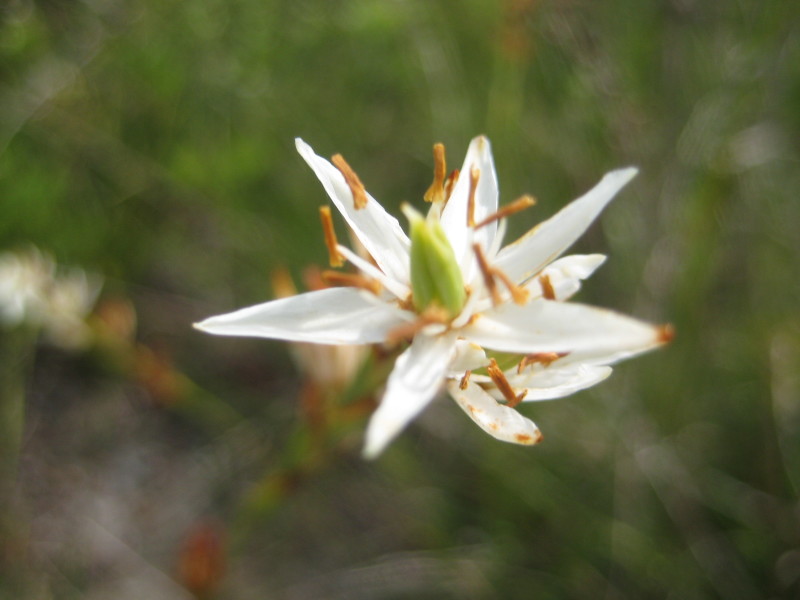 Figure 93b.