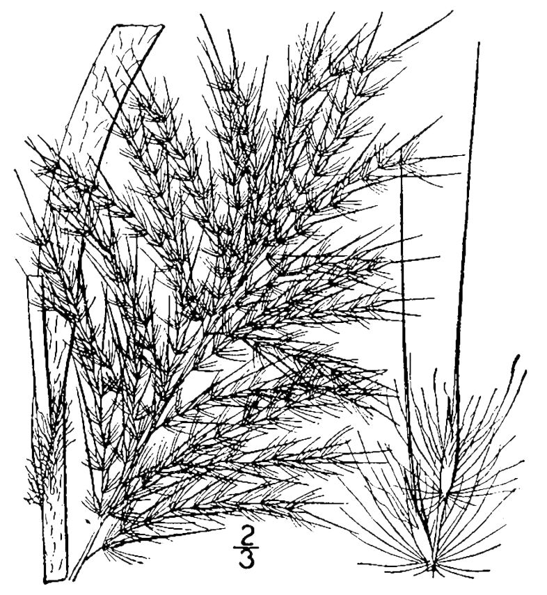 Figure 91d.