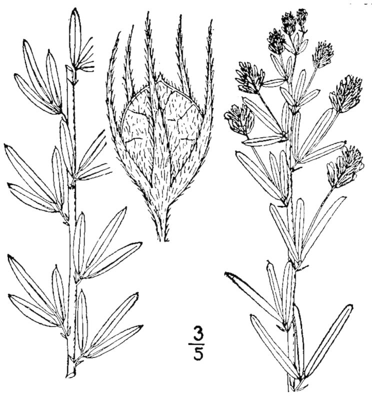 Figure 210a.