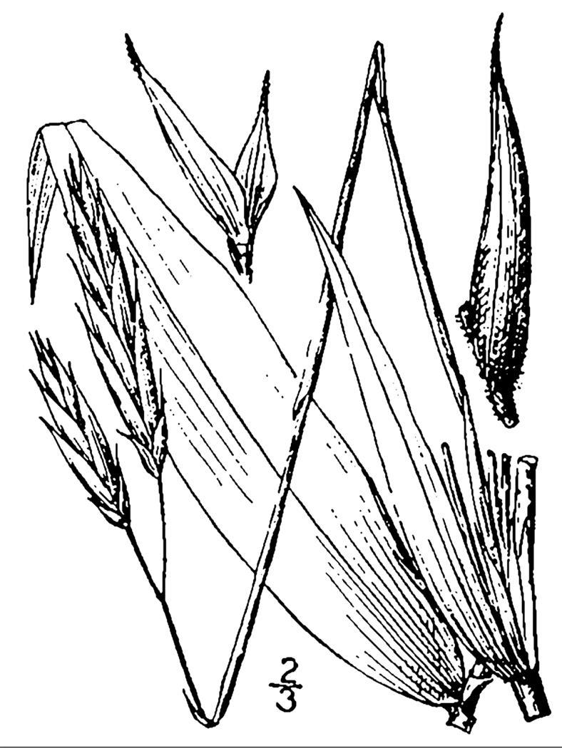Figure 82a.