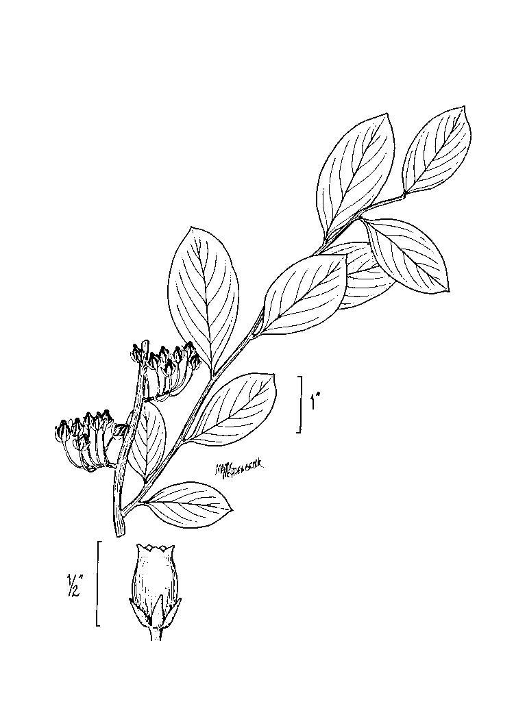 Figure 190e.