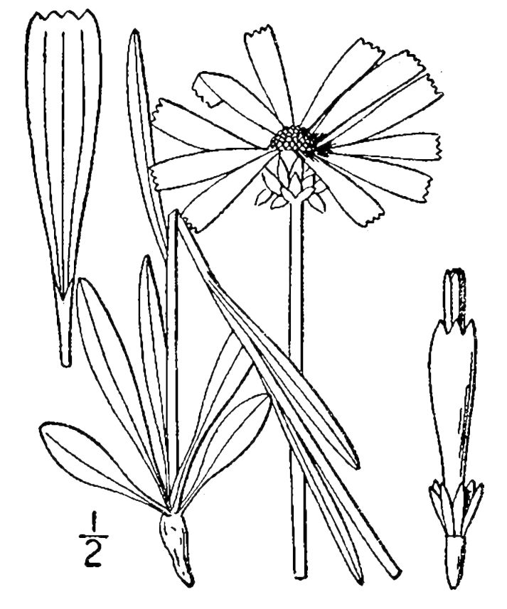 Figure 163a.