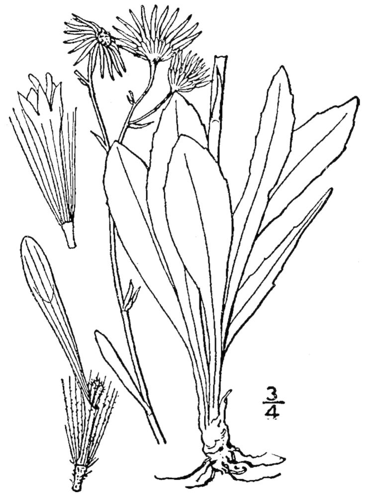 Figure 165a.