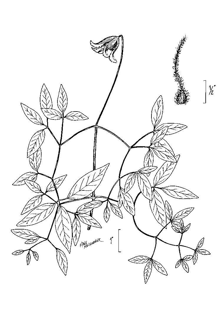 Figure 133a.