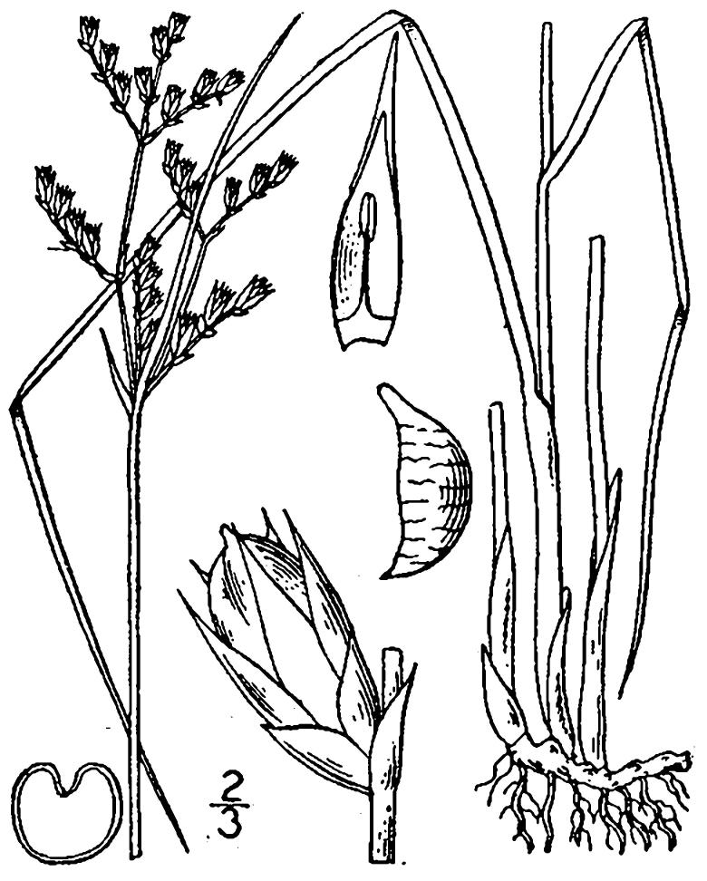 Figure 53f.