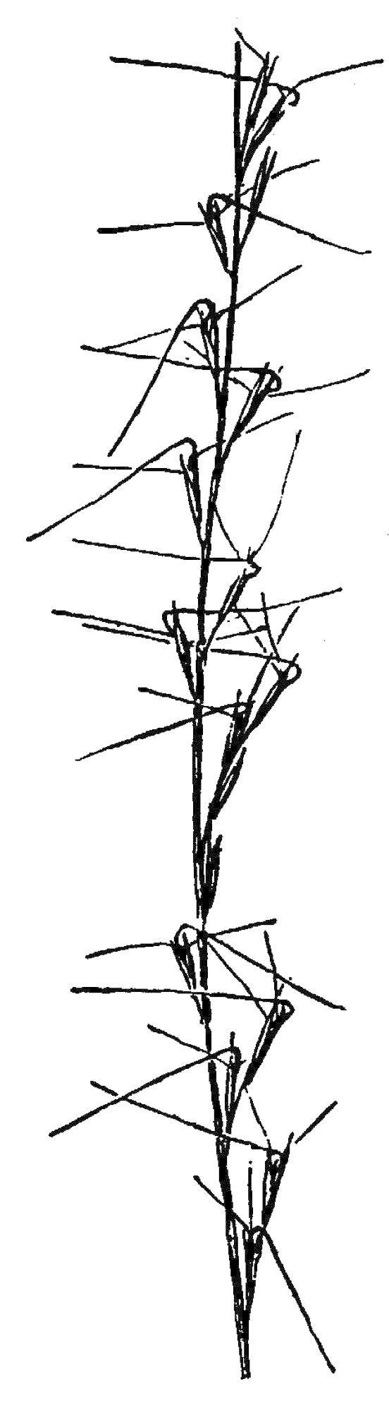Figure 81b.