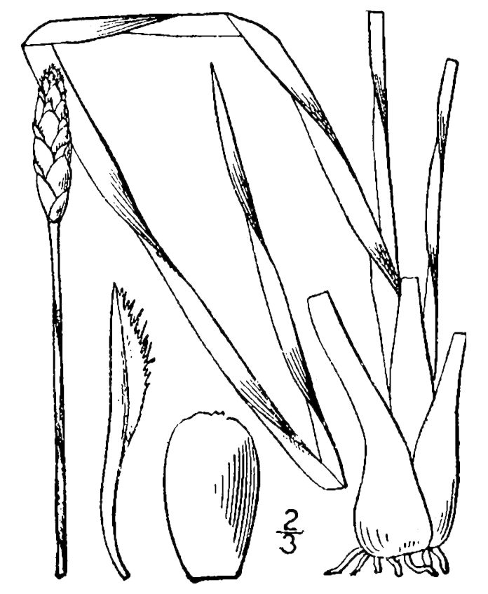 Figure 96a.