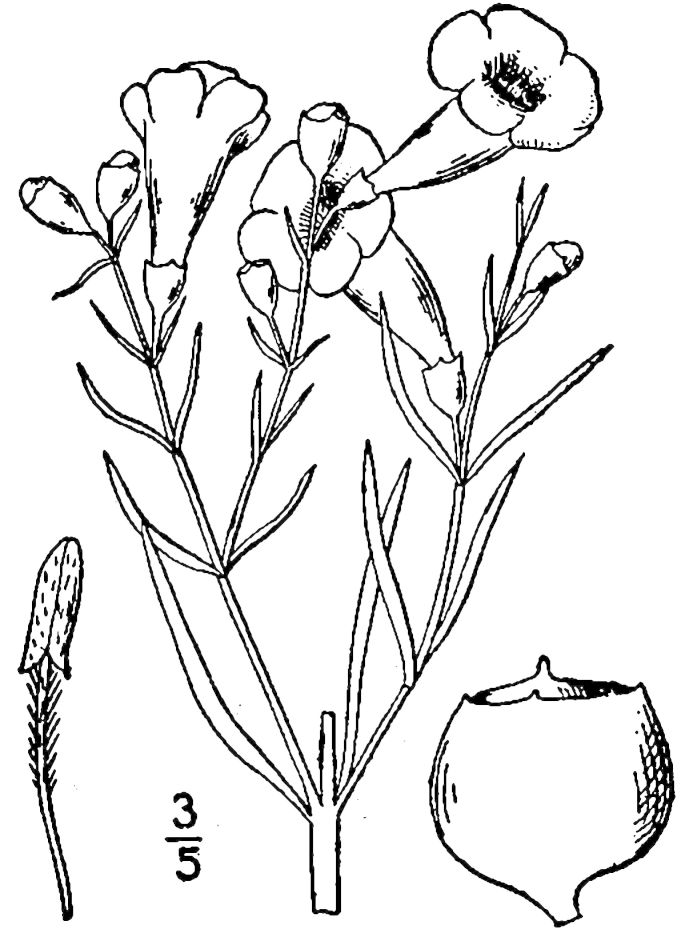 Figure 234b.
