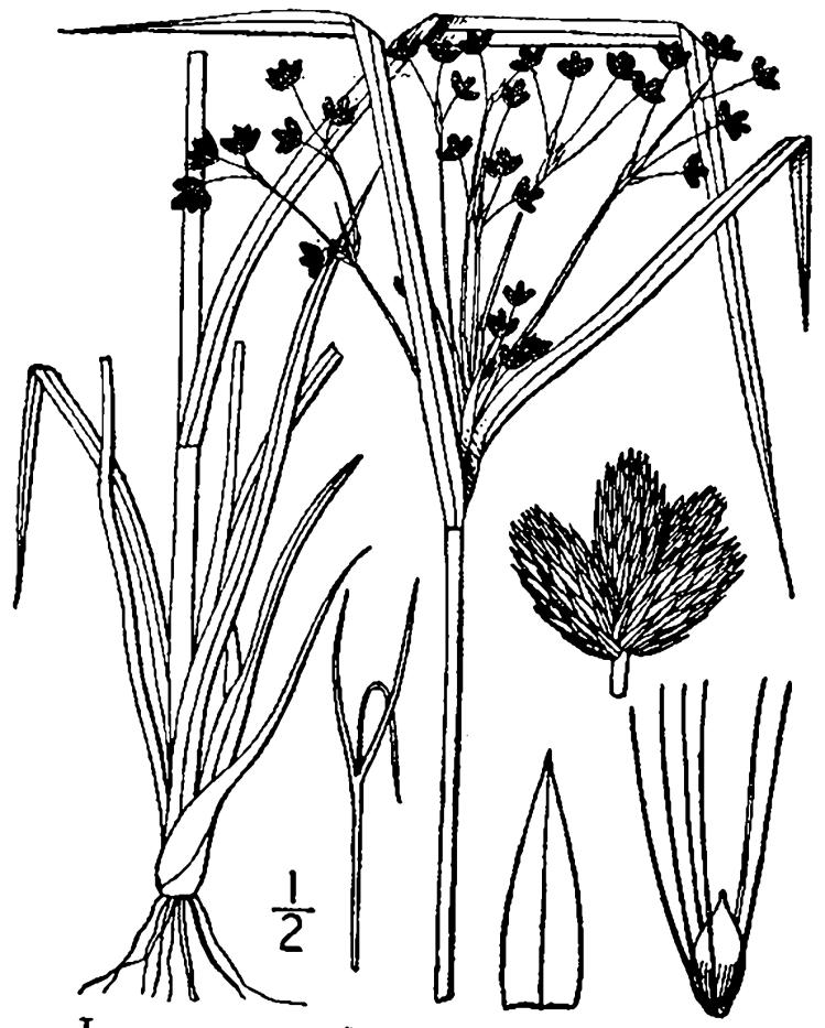 Figure 45a.