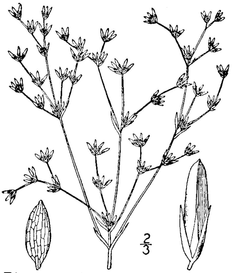 Figure 54a.