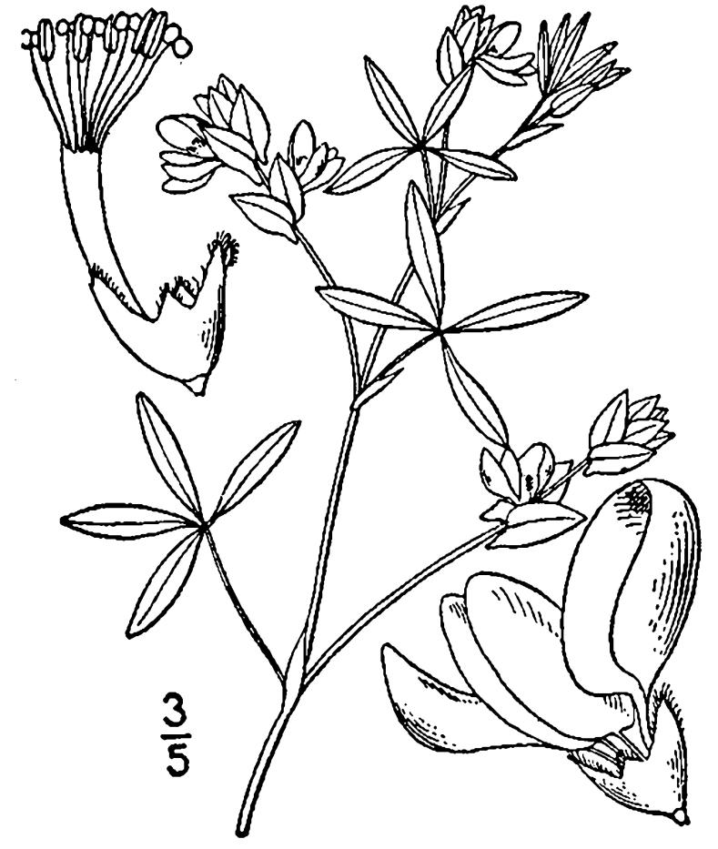 Figure 200.