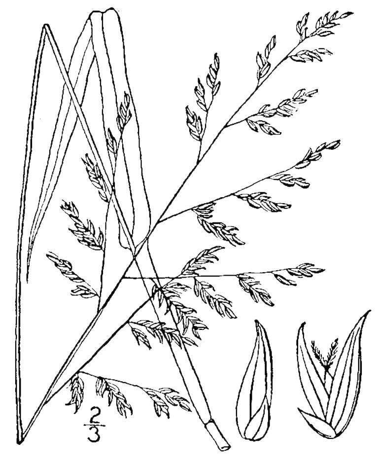 Figure 83a.