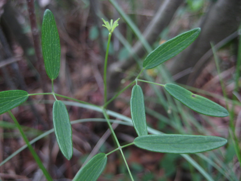 Figure 139b.