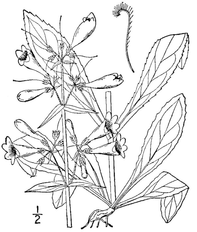Figure 235a.