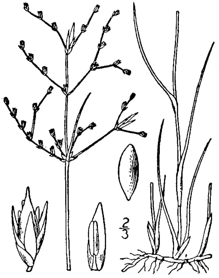 Figure 54e.