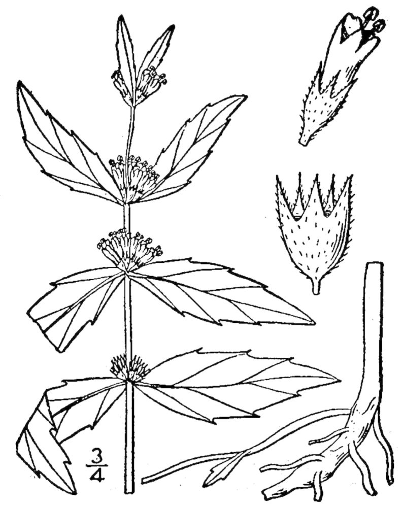 Figure 224a.