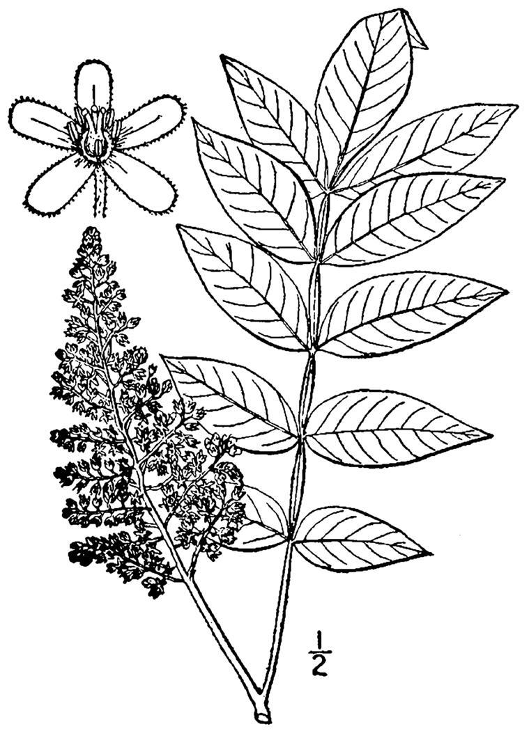 Figure 110.