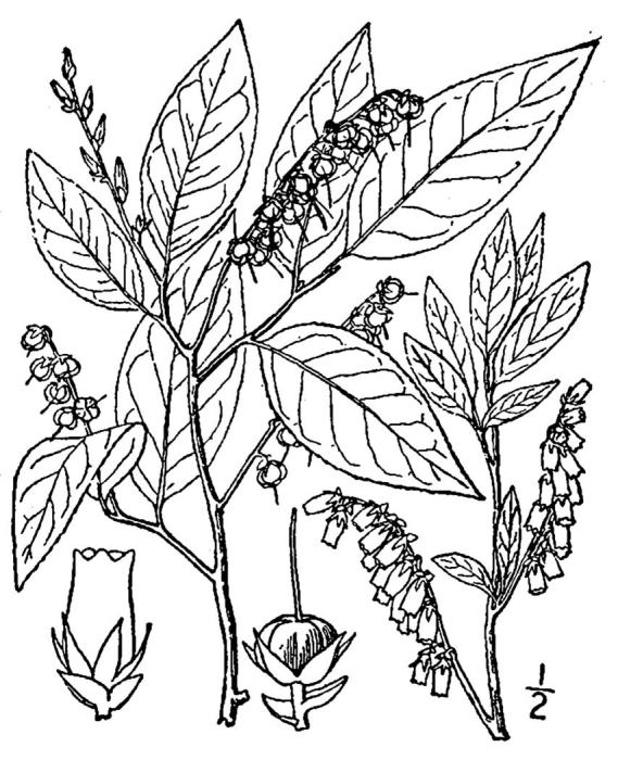 Figure 192.