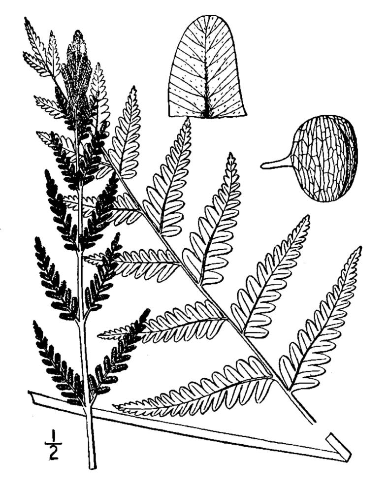 Figure 19a.