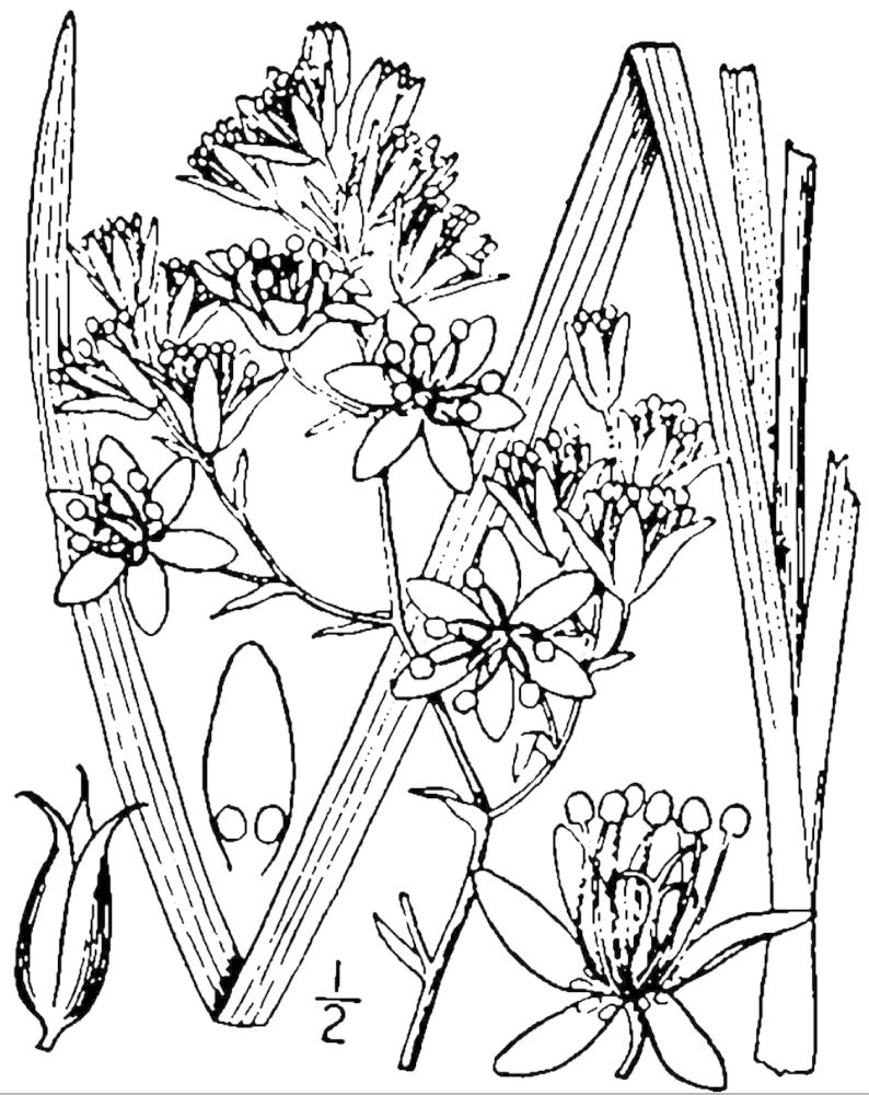 Figure 59a.