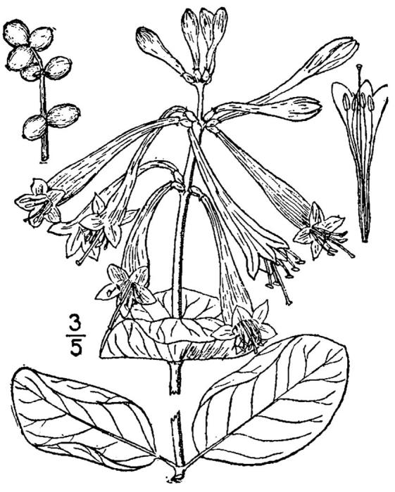 Figure 102.