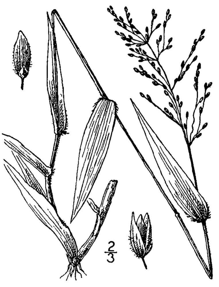 Figure 84c.