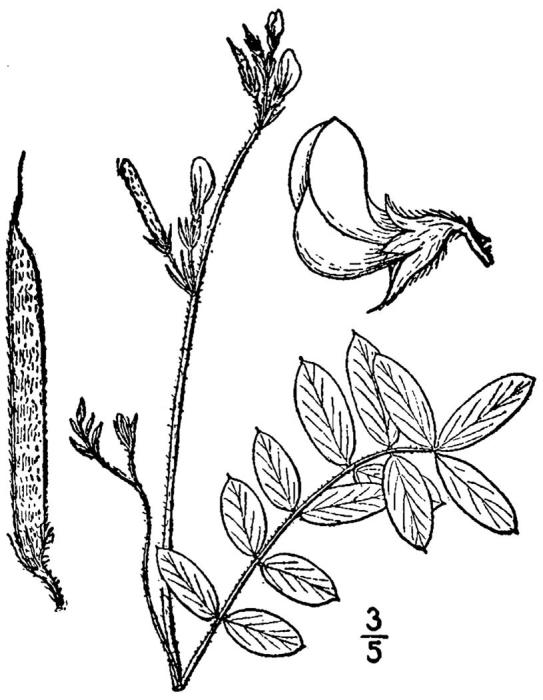 Figure 211d.