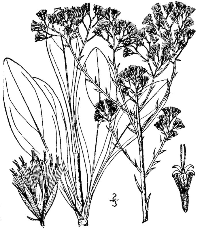 Figure 180a.