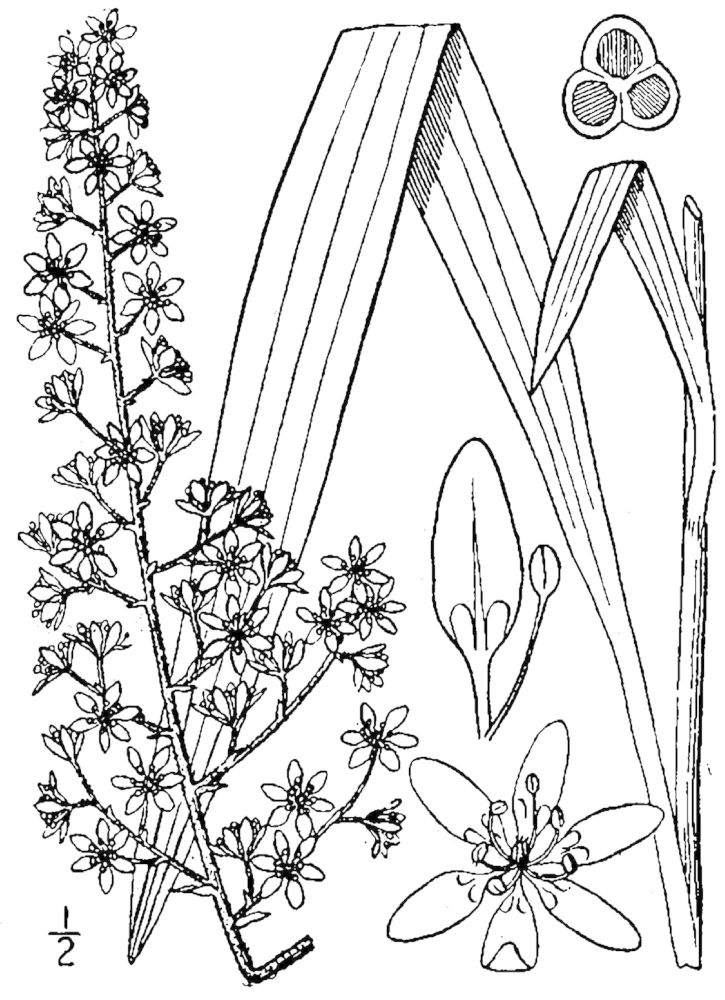 Figure 58a.