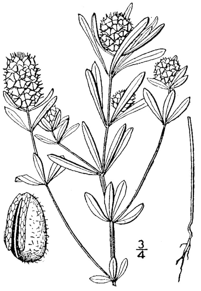Figure 236b.