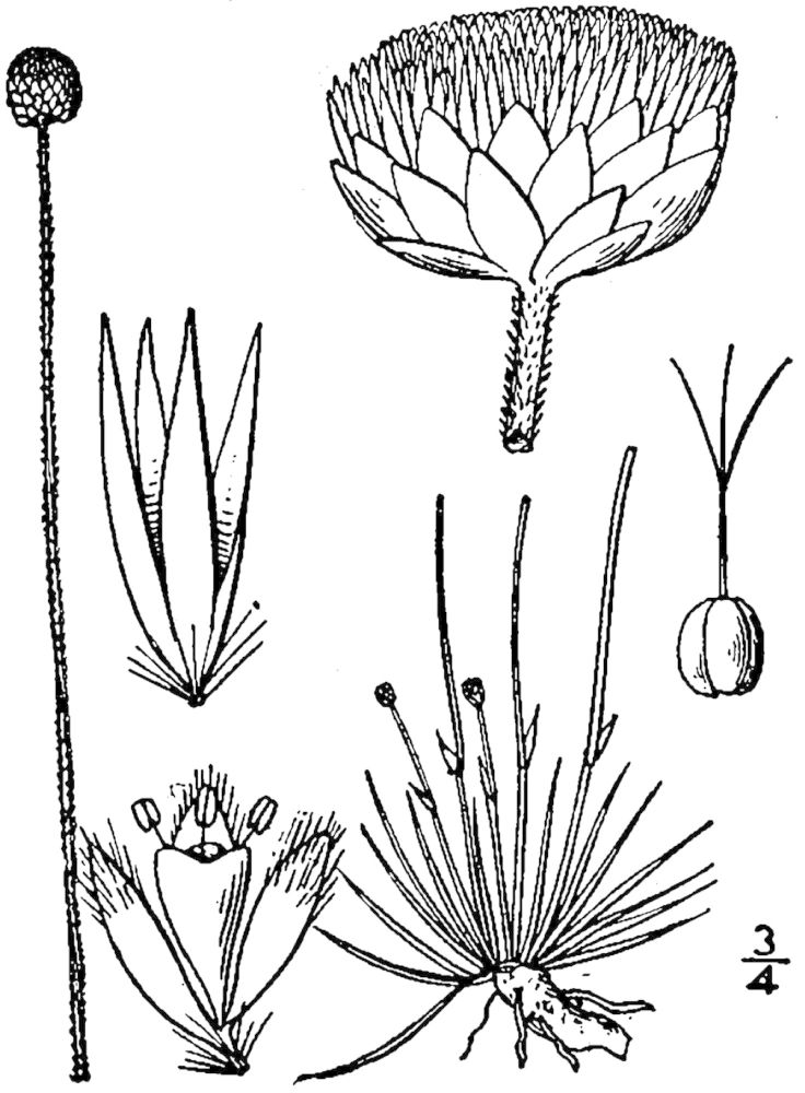 Figure 47.