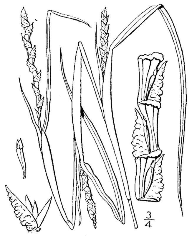 Figure 67.