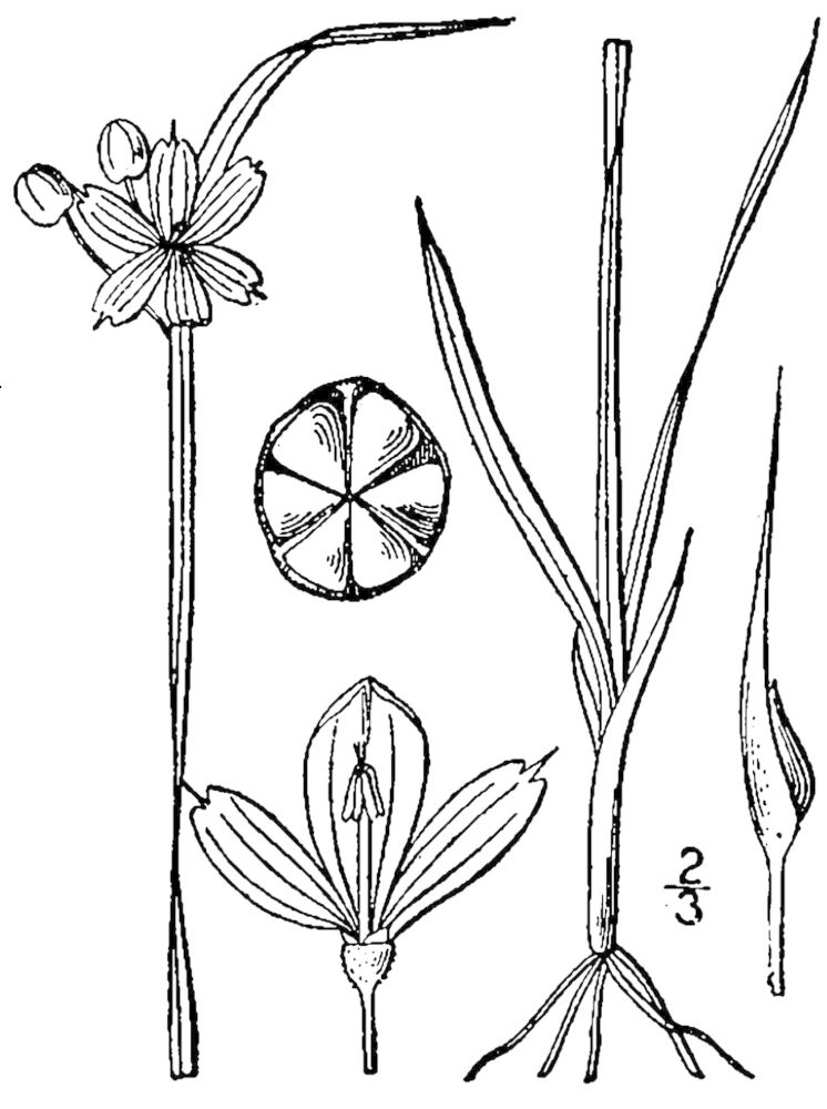 Figure 52b.
