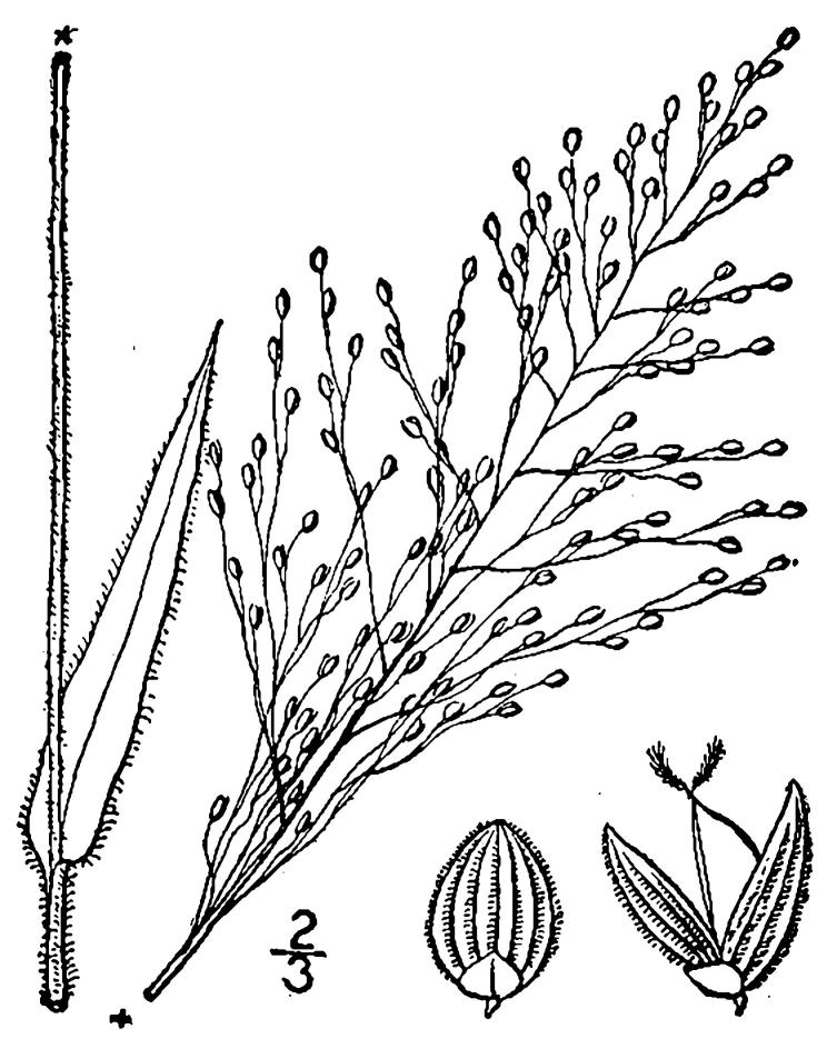 Figure 85e.