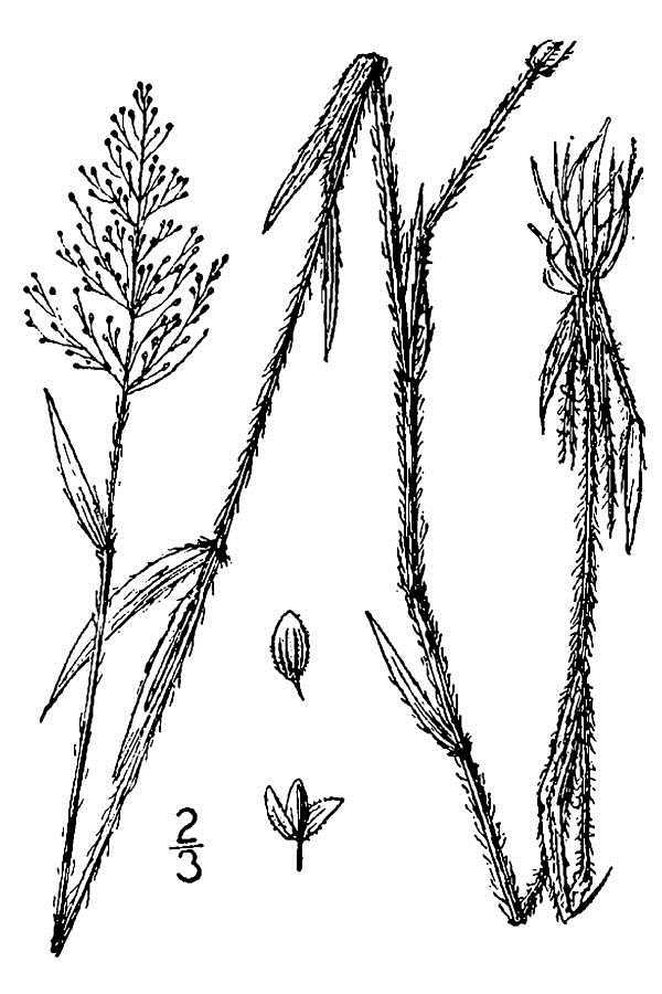 Figure 85a.